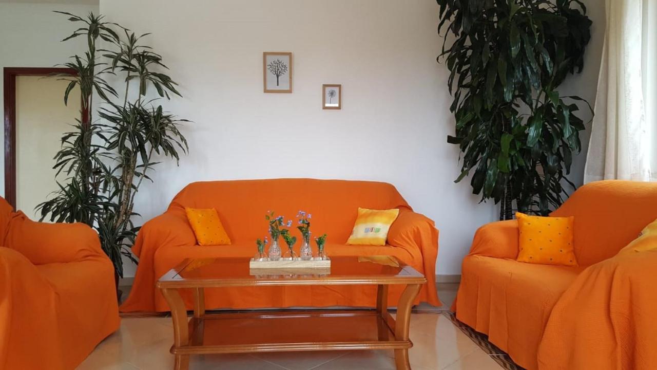 Bodul Vacation Apartment Zaton  Exterior foto